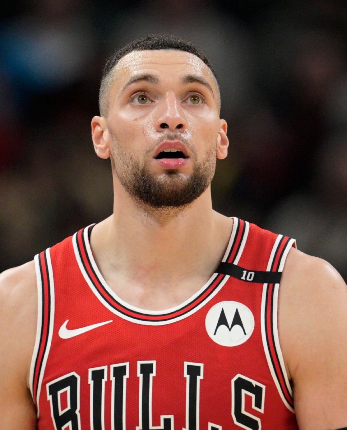 关键时刻芝加哥公牛调整名单以备NBA常规赛;扳平良机环节打磨;压力陡增;年轻球员得到机会的简单介绍 关键时刻芝加哥公牛调整名单以备NBA常规赛;扳平良机环节打磨;压力陡增;年轻球员得到机会的简单介绍